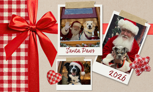 Copy of Santa Paws (2)