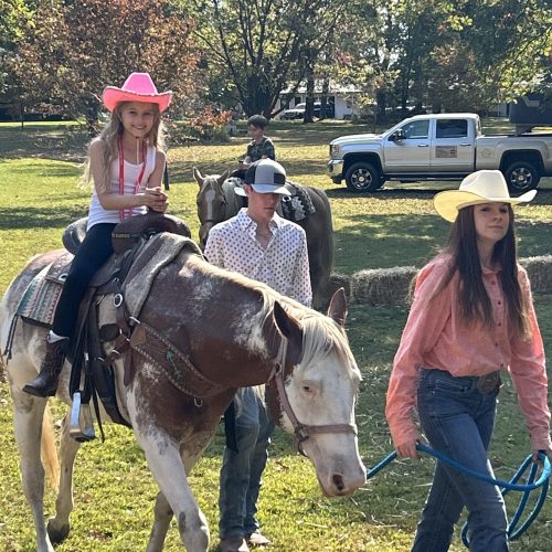 riley pony pacw