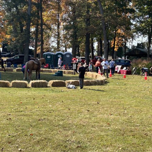 sg pony pacw